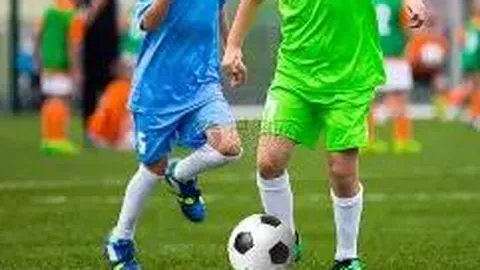 乐玩体育平台入口 产品 090342 z4x