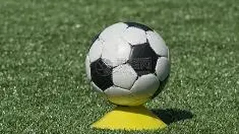 乐玩体育平台入口 产品 093754 mf4